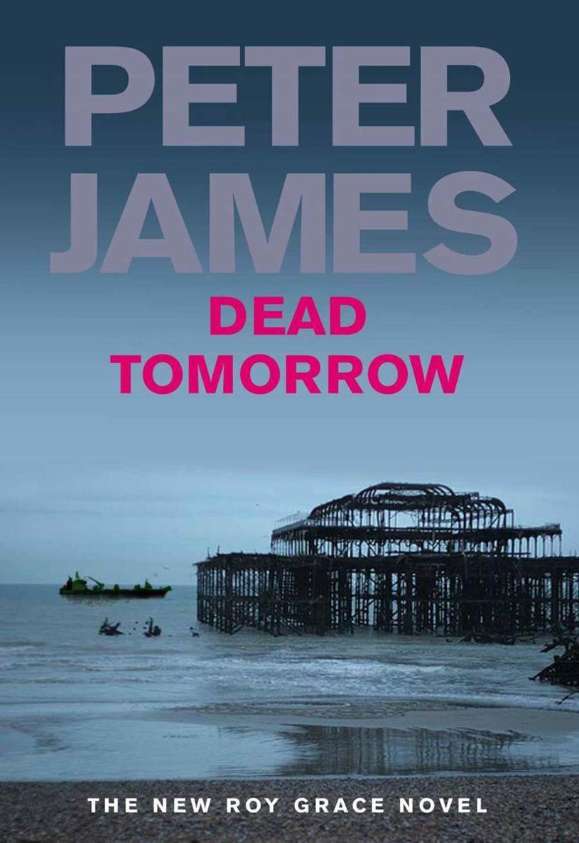 Book tomorrow. Peter James "Dead like you". Jim Grace the novelist. Dead tomorrow / p. James. - London : Pan books, 2009.